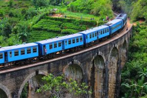 Read more about the article Sri Lanka’s Gem: The Nine Arch Bridge of Ella