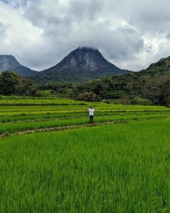 Read more about the article Unveiling Meemure: A Sri Lankan Paradise Tucked Away in the Knuckles Mountains