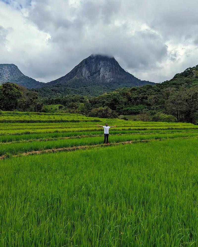 You are currently viewing Unveiling Meemure: A Sri Lankan Paradise Tucked Away in the Knuckles Mountains